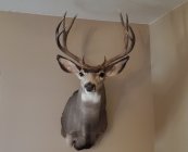 20191206_100622.jpg