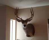 20191206_100611.jpg