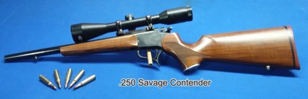 carbine 250-3000.JPG