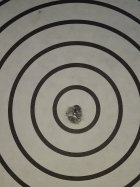 20201210_083402.jpg