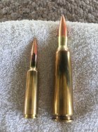 300 WSM (Left) 416 Barret (Right).JPG