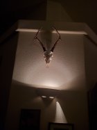 20201215_180652.jpg