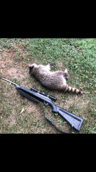 45922A11-D3F7-4D18-8DE4-9BE0E62AB1E7.png 45922A11-D3F7-4D18-8DE4-9BE0E62AB1E7.png