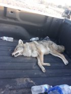 20201120_073242.jpg