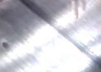 Screen Shot 2020-12-26 at 7.22.17 PM.png