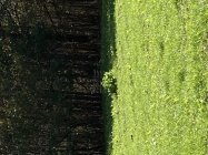 55356D88-B1F6-454D-BD42-8BDD00C8BDDE.jpeg