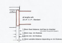 22LR CIP Standard.jpg