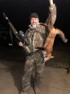 Chad's fox.JPG