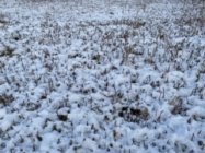 8327D1B6-D02B-4E61-914E-BA1F1ED2BBD4.jpeg