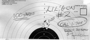 LilGun_17_Hornet_100yards002Long.jpg