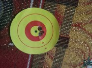 IMG_20201229_210912859.jpg