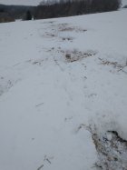 IMG_20210202_091556015.jpg