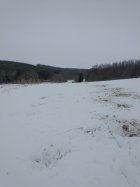 IMG_20210202_091620284.jpg