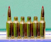 2021Feb12_1050053_six cases & cartridges_1500w.jpg