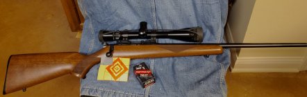 20200929_231615.jpg