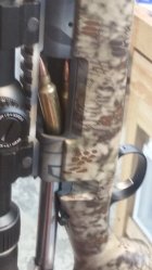 .300 WSM.jpg