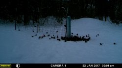 3E48E387-7522-4440-9EF0-3D0DCEE6AA69.jpeg