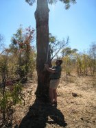 elephant rub on tree with Andy and 375.JPG