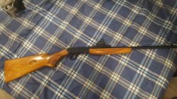 20200811_175641.jpg