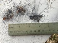 AEF176D7-482A-433A-98FF-9797DDA681E9.jpeg