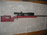 rsz_31batmb4.jpg