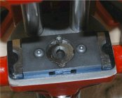 Forster Jaws 1a.jpg