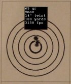 Sav 99 14 in twist 100 yards 65 gr Vmax 3150 fps.jpg