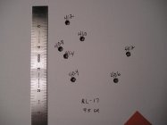 RL17 95 Berger 9_11_10.jpg