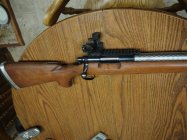 6BR2 (Medium).JPG