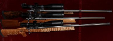 3Guns-sm.JPG