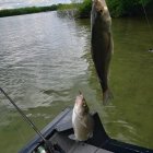IMG_20200523_164300_049.jpg