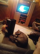 20210126_222819_HDR.jpg