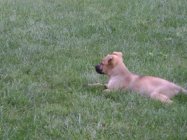 DSC00640.JPG
