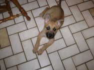 DSC00635.JPG