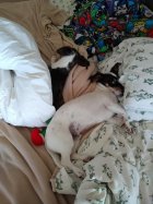 IMG_20200126_090139017.jpg