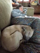 IMG_1475.JPG