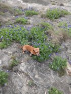 IMG_20180408_093821.jpg