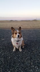 20201209_162904.jpg