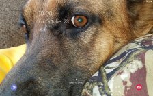 Screenshot_20201023-100002_Chrome.jpg