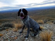 20201109_213447.jpg