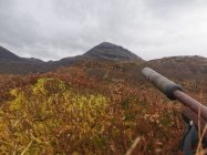 IMG_20210325_094728.jpg