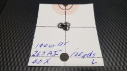 20210401_161806140 gr. Nosler B T .jpg