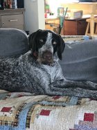 IMG_5128.jpeg