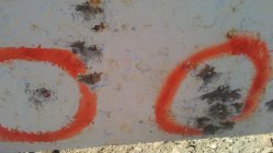 20200725_092416.jpg