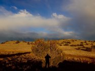 North of Flagstaff,AZ.jpg