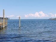 IMG_20200714_162840815.jpg