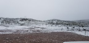 20190222_085211.jpg