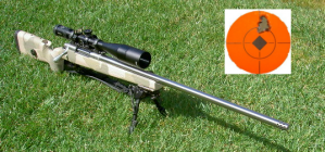 284 Rifle.png