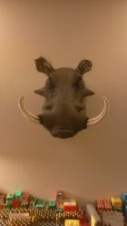 IMAG0716.jpg
