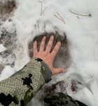 86C813E3-DF4B-46FE-AD26-343B66417208.jpeg